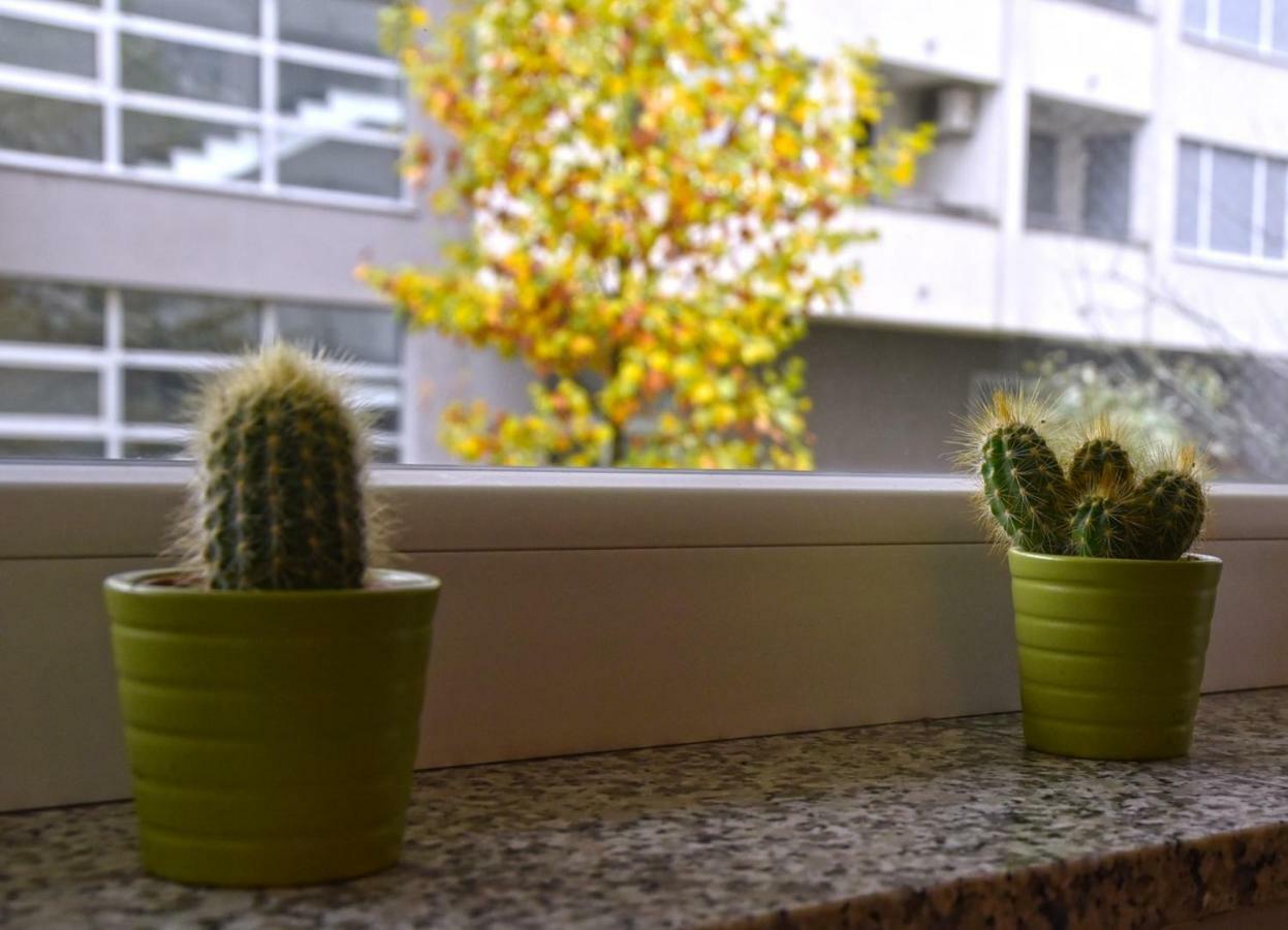 Apartments Dora Zagreb Dış mekan fotoğraf